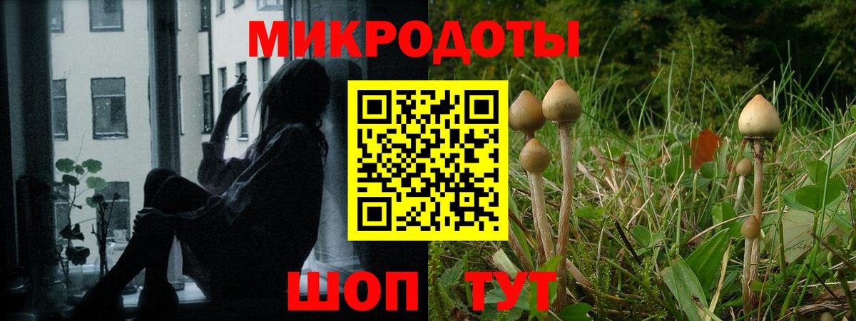 Галлюциногенные грибы Cubensis Чебоксары